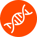 DNA